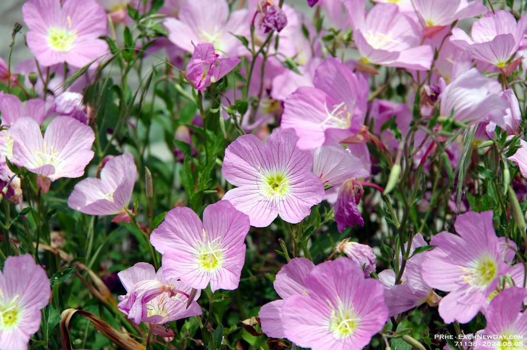 71138LeUsm - Footsteps of Paul - Berea